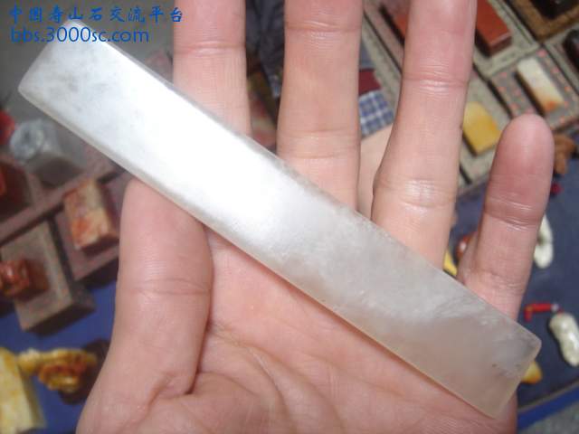 DSC04882.JPG