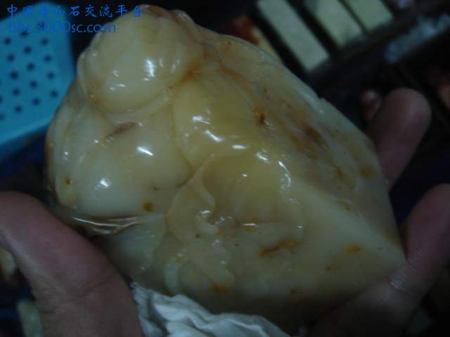DSC05250.JPG
