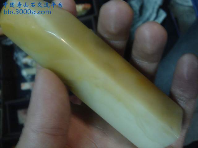DSC05257.JPG