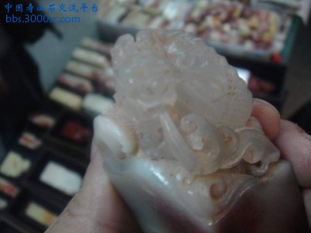 DSC05260.JPG