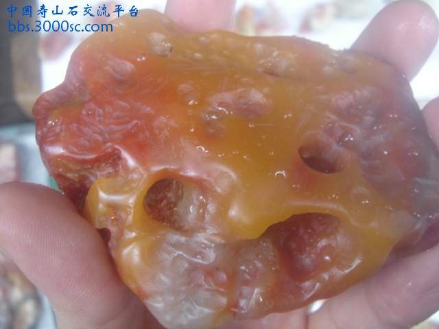 DSC05361.JPG