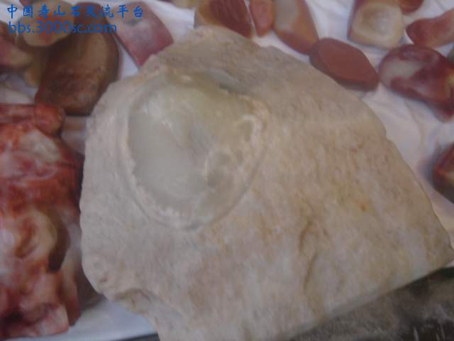 DSC05365.JPG