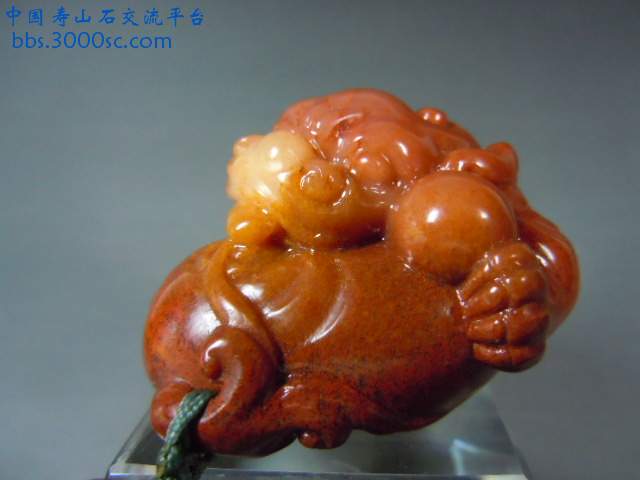 DSCN5265.JPG