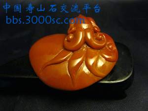 闽A-J055-2.jpg