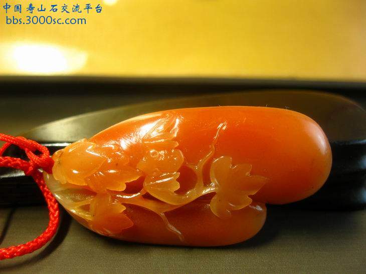 闽A-S032-2.jpg