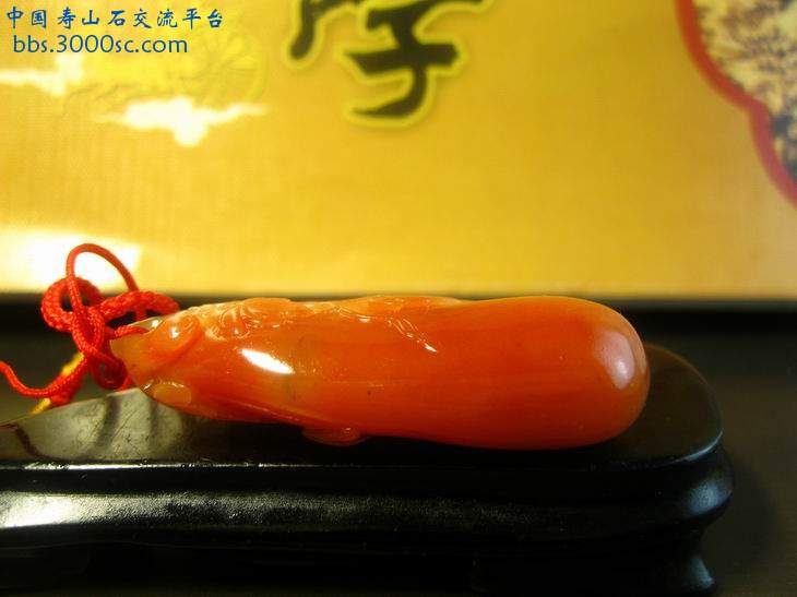 闽A-S032-3.jpg