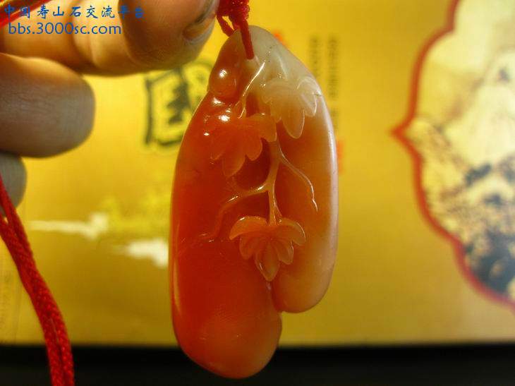 闽A-S032-4.jpg